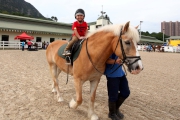 Photos 3, 4, 5, 6 & 7: <br>
Visitors enjoy an array of equine-themed fun activities on the Open Day.