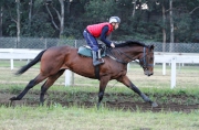 Dicky Lui rides a mount in morning trackwork at Clairwood Racecourse on Friday morning.