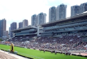 Tens of thousands of fans flock to the Sha Tin Racecourse for the thrilling racing action today.
