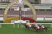 Photo 1, 2<br>
The Oriental Watch Sha Tin Trophy (1600m) is staged at Sha Tin Racecourse today.  Military Attack (No. 3, green silk), ridden by Zac Purton, wins this Hong Kong Group 2 event. Gold-Fun (No. 2) and Ambitious Dragon (No. 4) finish second and third respectively.