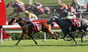 Tony Cruz-trained Peniaphobia (No 10, in orange/purple), ridden by Douglas Whyte, holds off the late challenge of Smart Volatility (No 13, in grey) to win the G2 BOCHK Wealth Management Jockey Club Sprint (1200m turf) at Sha Tin racecourse today.