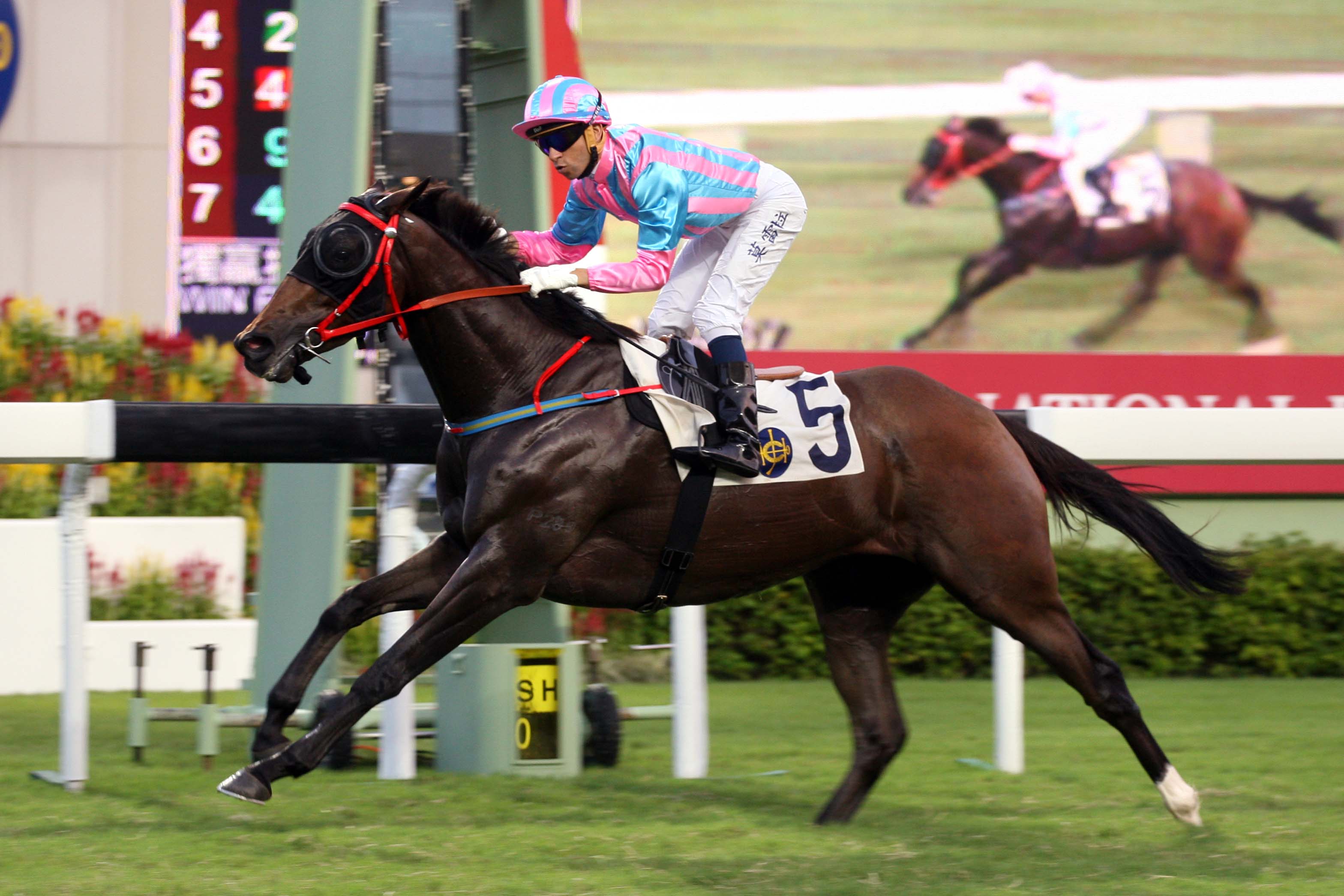 International Group 1 heroes among 2014 LONGINES HKIR selected