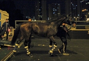 Archimedes (LONGINES Hong Kong Cup)