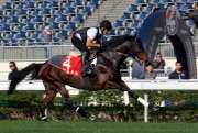 Archimedes - LONGINES Hong Kong Cup
