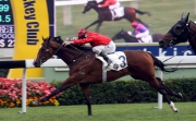 Photo 1, 2: Paul O��Sullivan-trained Line Seeker (No. 3), ridden by Zac Purton, holds off the late challenge of Sky Hero (No.4) to win the Griffin Trophy (1400m) at Sha Tin racecourse today.