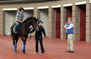 浪琴表香港瓶參賽馬「漫天飄雪」今早在沙田馬匹亮相圈內進行訓練時，練馬師司徒德爵士在旁監察。