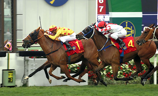 Ridden by Christophe Soumillon, the Richard Gibson-trained Gold-Fun (No.1) prevails to win the Chairman's Sprint Prize (HK G1 - 1200M), second leg of the Hong Kong Speed Series. Aerovelocity (No.2) and Lucky Nine (No 4) finish second and third respectively.