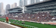 農曆新年賽馬日吸引大批市民入場觀看賽馬歡度新歲。
