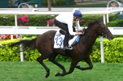 圖 1, 2, 3, 4:<br>
2015年香港國際馬匹拍賣會（3月）將於下週六3月14日舉行，一眾參與拍賣的馬匹今晨於沙田馬場草地跑道作試跑示範。