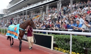 Ambitious Dragon parades for the last time at Sha Tin Racecourse in front of his faithful fans. 