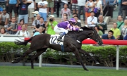 Photo 1, 2, 3<br>David Hall-trained Rad (No 12, in purple), ridden by Douglas Whyte, kicks away from the rest of the field to win the HKG3 Bauhinia Sprint Trophy (1000m handicap) at Sha Tin racecourse today.