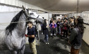 Photo 1, 2, 3<br>The Club will collaborate with CAVALIA to host a series of outreach programmes. In the first behind-the-scene tour held today (8 April), the participants are given a chance to learn from and be inspired by the hard work and dedication of CAVALIA performers.