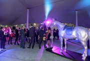 A star-studded Audemars Piguet QEII Cup Gala Party is held tonight at the Happy Valley Racecourse.