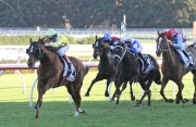 Criterion (horse No 2, yellow & white cap) and Red Cadeaux (horse No 4, red & blue cap) finish first and second in the G1 Queen Elizabeth Stakes in Randwick today (11 April).