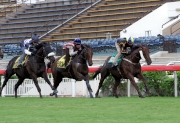 Photo 1, 2:<br>
Able Friend (near the rail), with Joao Moreira on board, takes part in a 1600m grass trial at Sha Tin racecourse on Tuesday morning prior to his departure for England this weekend.