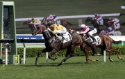 Photo 1, 2<br>
Joao Moreira scores his third win today aboard Dashing Fellow (No. 1) in the Hong Kong Riding For The Disabled Association Cup.
