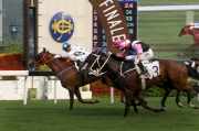 Photo 7, 8<br>
John Size-trained Contentment (No. 8, in blue/white), ridden by Joao Moreira, wins the Sha Tin Mile Trophy at Sha Tin Racecourse today.