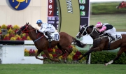 Photo 1, 2, 3<br>
John Size-trained Contentment (No. 10), ridden by Joao Moreira, holds Beauty Only to win the Oriental Watch Sha Tin Trophy (HK Group 2, 1600m) at Sha Tin Racecourse today.