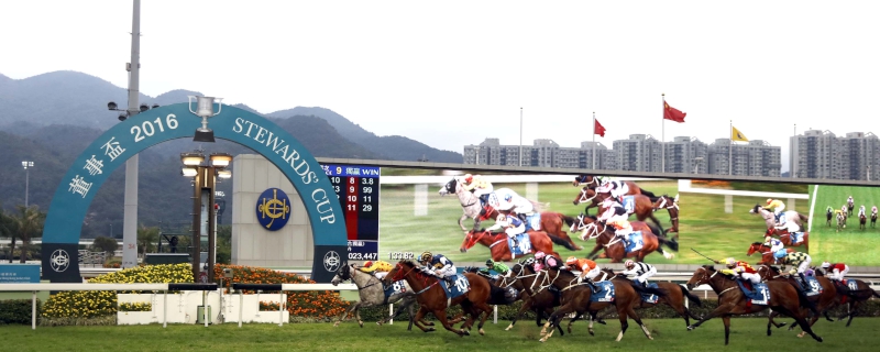 Richard Gibson-trained Giant Treasure (No. 8, in yellow), with Christophe Soumillon on board, edges Luger (No. 10, blue/yellow cap) and Contentment (No.5, blue/white cap) to take the G1 Stewards’ Cup (1600m), first leg of Triple Crown, at Sha Tin Racecourse today.
