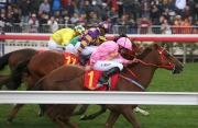 Photos 1, 2, 3<br>
Ryan Moore steers the John Size-trained Sun Jewellery (No. 1) to a victory in the Hong Kong Classic Cup (HKG1 1800m) at Sha Tin Racecourse today. Werther (No. 2) finish second, while Blizzard (No.3) and Eastern Express (No. 11) a deadheat third in this second leg of the Hong Kong Four-Year-Old Series.