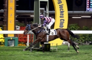 Caspar Fownes-trained Domineer (No. 1), with Zac Purton in the saddle, wins the Class One Happy Valley Trophy (1200m) at Happy Valley tonight.