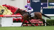 The Aidan O��Brien-trained Hong Kong Vase winner Highland Reel holds a nomination to the Audemars Piguet OEII Cup.