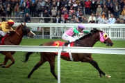 Aerovelocity, victor of the Centenary Sprint Cup this season, leads a strong home entry in the Chairman��s Sprint Prize.