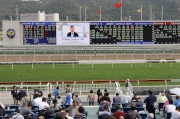 The second round of phone-in quiz will be held on Wednesday 9 March during the Happy Valley racemeeting. For more information, please visit www.hkjc.com.