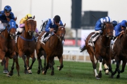 Peniaphobia (yellow cap) finishes a gallant third in the G1 Al Quoz Sprint at Meydan. Winner of the race Buffering (left) and 2nd placegetter Ertijaal (second from right) are both nominated for the G1 Chairman's Sprint Prize. 