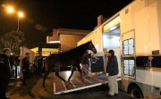One of the horses into the Cluba?s air-conditioned truck aᡧ ready for transport to the Conghua Training Centre from Sha Tin Race Course in early morning of 29 February