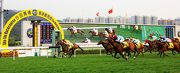 Photo 1, 2, 3: Hong Kong runner Dashing Fellow (No. 6), trained by John Moore and ridden by Zac Purton, wins the HKG3 Hong Kong Macau Trophy at Sha Tin Racecourse today. The first runner-up is The Alfonso (No. 9).