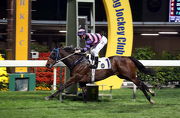 另一香港國際馬匹拍賣會售出馬匹「控制者」，於今季較早時以漂亮姿態攻下跑馬地錦標。