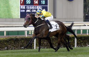 Photo 1, 2, 3, 4: John Moore-trained Werther (No. 2, in yellow), ridden by Hugh Bowman, holds off the late challenge of stablemate Victory Magic (No. 9, in grey/blue) to win the HKG1 BMW Hong Kong Derby at Sha Tin Racecourse today.