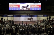 Photo 5, 6, 7<br>
Lot 17 (Starcraft ex Top Cuban), purchased by Liu Yu Wen, fetches HK$8.5 million, which is the highest price at tonight��s Hong Kong International Sale.