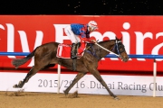 Gun Pit, with Joao Moreira on board, finishes second behind Special Fighter in the G1 Al Maktoum Challenge R3 (2000m, dirt) at Meydan.
