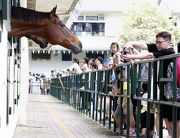Photo1, 2, 3, 4, 5, 6, 7, 8: About 7,000 visitors flocked to The Hong Kong Jockey Club Tuen Mun Public Riding School annual Open Day today, enjoying an array of equine-themed fun activities.