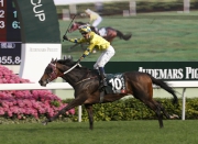 <p class=body_text><em>Werther </em>bids to  emulate <em>Vengeance Of Rain</em> by winning  the Standard Chartered Champions & Chater Cup after landing the BMW Hong  Kong Derby and Audemars Piguet QEII Cup in the same season.</p>
