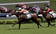 Photo 1, 2<br>
John Moore-trained Helene Paragon (No. 5), ridden by Joao Moreira, cruises home to win the HKG3 Premier Plate at Sha Tin racecourse today.