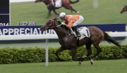 Photo 1, 2<br>
John Moore-trained Helene Paragon, ridden by Joao Moreira, wins the Sha Tin Mile Trophy at Sha Tin Racecourse today.