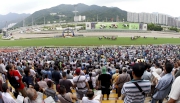 Photo 3,4<br>
Tens of thousands of fans enjoy a day of exhilarating races and activities at the Season Finale meeting at Sha Tin Racecourse today. 