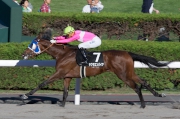 莫雷拉在今日札幌競馬場的尾場賽事夥拍Sakura Empire贏得頭馬。