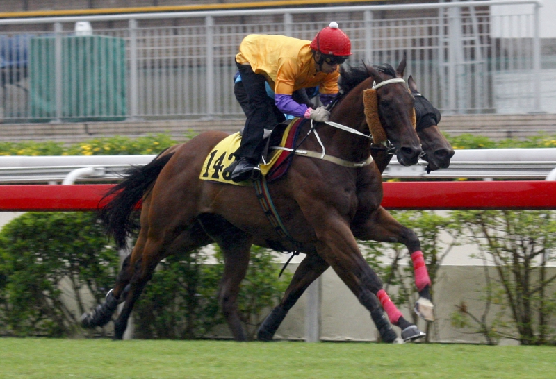 Peniaphobia passes the post first under Matthew Chadwick at Tuesday’s Sha Tin barrier trials.