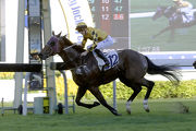 Mr Bogart claims a smart victory over 1200m at Sha Tin on his latest outing.