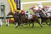 Photo 1, 2<br>
Twin Delight (No.12, in yellow), with Derek Leung on board, edges Joyful Trinity (No.5) to win the Kwangtung Handicap Cup (Class 1, 1400m).