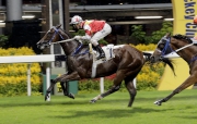 Victory Marvel opens his account at Happy Valley two weeks ago with Zac Purton on board.