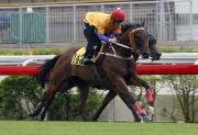 Peniaphobia passes the post first under Matthew Chadwick at Tuesday��s Sha Tin barrier trials.