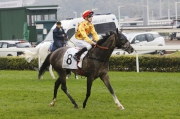 The Richard Gibson-trained Consort ran fourth behind Werther in the HKG1 BMW Hong Kong Derby last season.