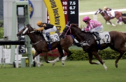 Able Deed notched his first Hong Kong win last time in a Class 4 1600m event at Sha Tin on 11 September.