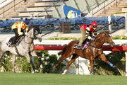 Lucky Bubbles (front) and Giant Treasure (back) ran first and second in a 1000m turf barrier trial at Sha Tin on Tuesday as they build towards the G2 Premier Bowl on 23 October.