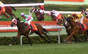 Aerovelocity lands the HKG1 Centenary Sprint Cup in style last term.